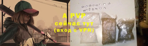 винт Белокуриха