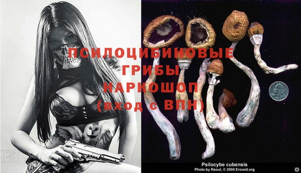 a pvp Беломорск