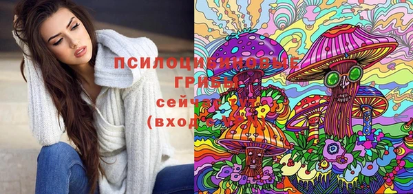 винт Белокуриха