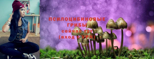 a pvp Беломорск