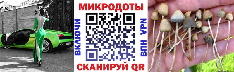 Псилоцибиновые грибы GOLDEN TEACHER  закладка  Облучье 